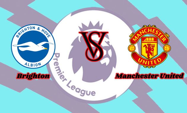 brighton vs manchester united